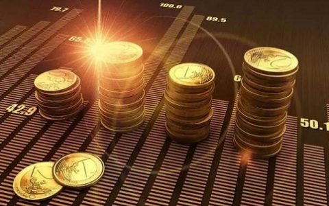 ZDA国际期货亏损